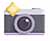 Camera Icon