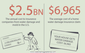 The costs are just a staggering as the frequency. Water damage and mold cost the insurance industry $2.5 billion dollars per year, and the average cost of a home water damage insurance claim is $6,965.