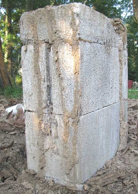 Earthen subterranean termite shelter tubes extending up a masonry foundation